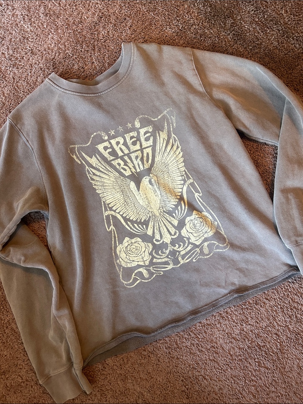 Graphic Free bird pullover